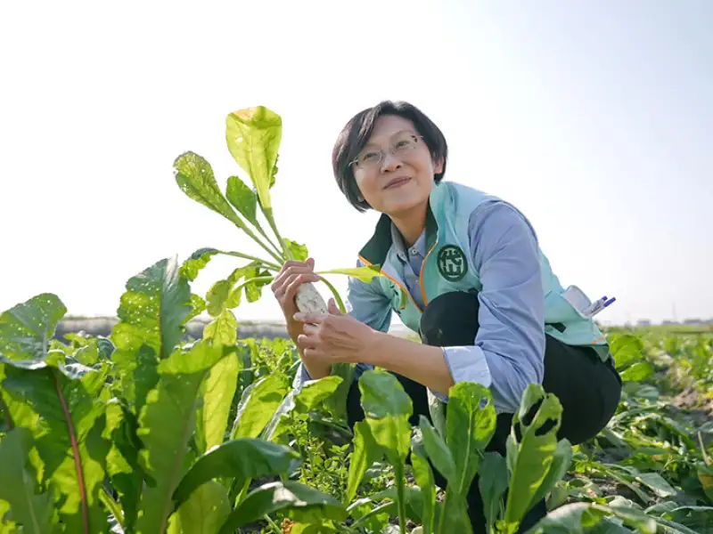 林岱樺到美濃市場拜早年、發春聯