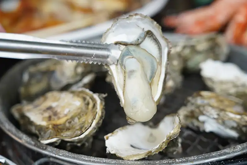 夏季，東石烤蚵大嚐海鮮美食。(圖/嘉義縣 文化觀光局)