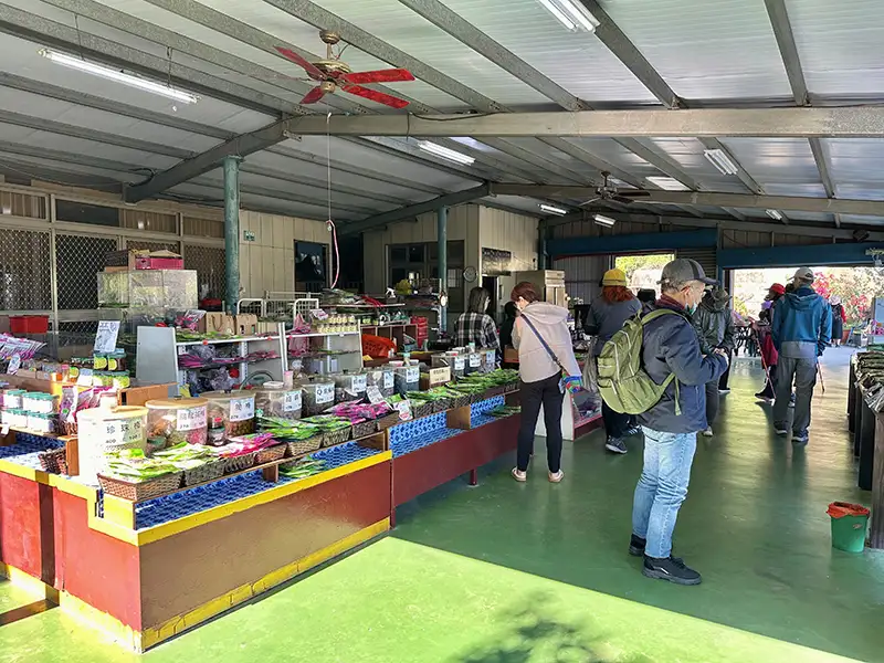 梅山公園頂端藏著一間擁有60年歷史的「正宗牌蜜餞/梅子」老店。(圖/嘉義縣文觀局)