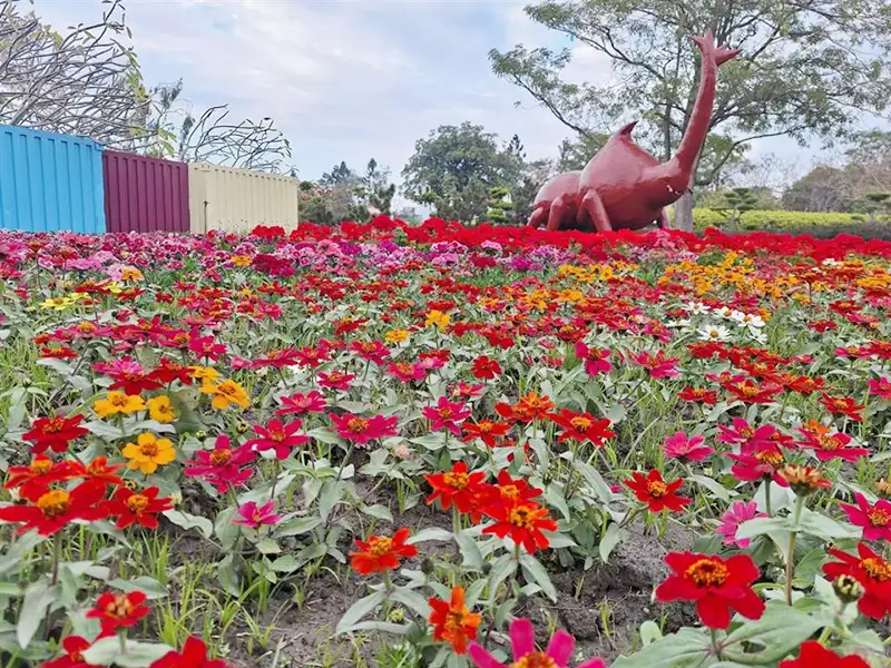 2025花在彰化－花繪城事1/29（年初一）至2/12（年十五）在溪州公園隆重登場。（圖/彰化縣政府提供）