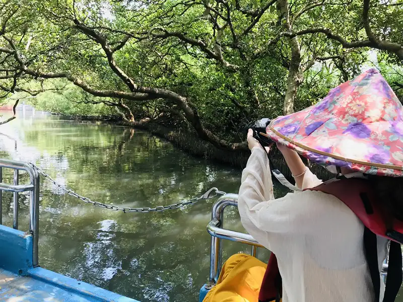 路線3-四草綠色隧道。(圖/臺南市政府觀光旅遊局)