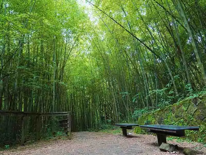 孝子路步道(圖/嘉義縣文化觀光局)