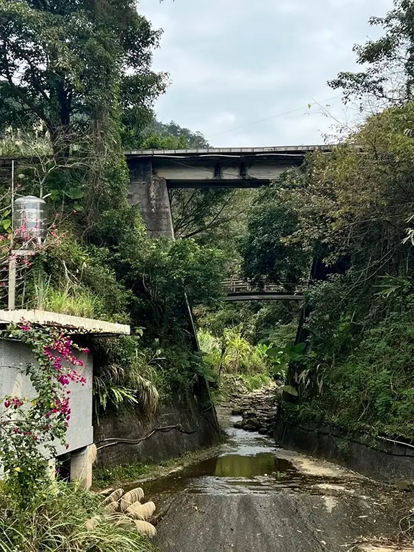 「橫山走走」以「野草氣息」為主題，串聯內灣支線沿線景點，搭乘台鐵內灣支線深入探。(圖/新竹縣政府提供)