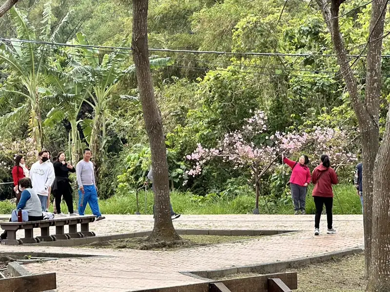 台南山上花園水道博物館將以豐富多樣的花卉景觀迎接遊客，是賞花踏青的最佳選擇。(圖/台南市文化局 提供)