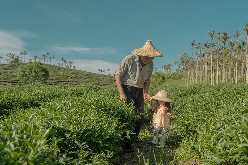 朵栗栗農坊品牌故事是延伸自兒時在農田戴斗笠的記憶,象徵品牌對在地耕作的溫暖。(圖/縱管處 提供)