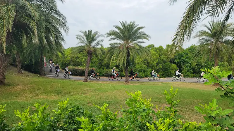大鵬灣環灣道路自行車道。(圖/屏東縣政府 提供)