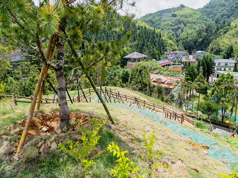 觀光新景點！「雲境心園」太平圓山觀星平台啟用