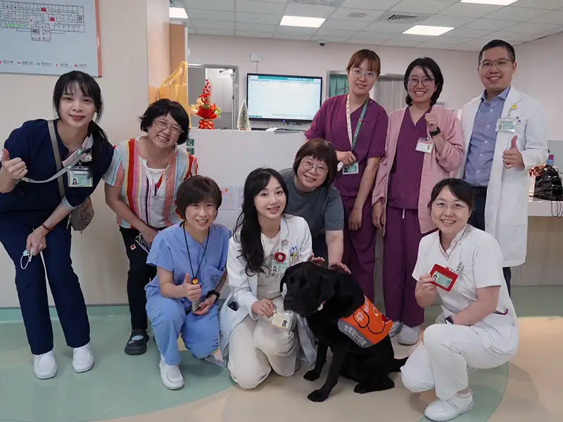輔助犬歐巴來到安寧病房受到醫護同仁的歡迎爭相與他合影。（圖/屏東榮總 提供）