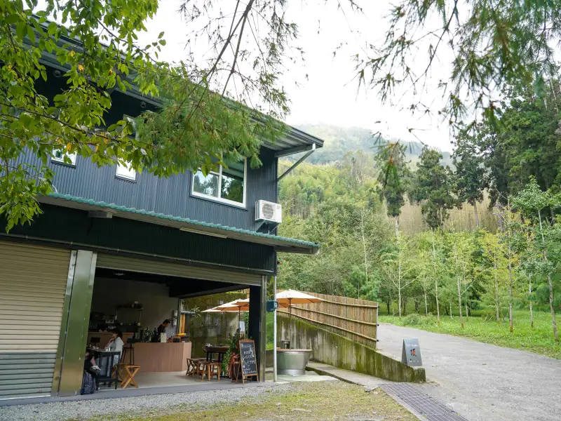 端午假期走進阿里山樂野部落   品茶、品咖啡、賞山景