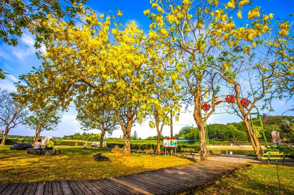阿勃勒賞花景點虎頭埤風景區。(圖/臺南市觀旅局)