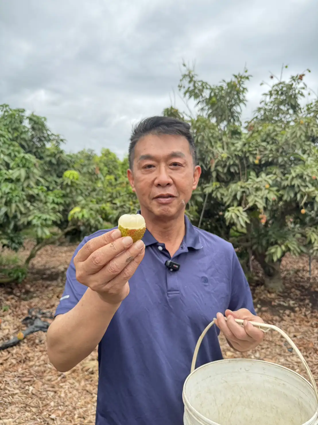 立委許智傑出席高雄鳳荔季活動,他歡迎大家有機會一定要嘗嘗大樹的玉荷包與鳳梨。(記者吳文欽攝)