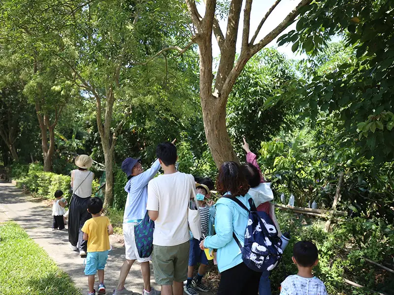 歡迎大家一起走進頂庄,親眼看看這些珍貴的獨角仙,同時也呼籲民眾用心感受獨角仙生態季,愛牠就別把牠帶回家。(嘉義市政府提供)
