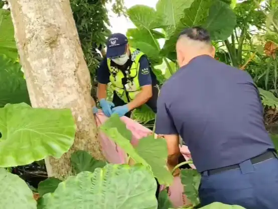90歲蔡姓老嫗倒臥堤防草叢,奇蹟被尋獲。(圖/嘉義縣警察局中埔分局 )