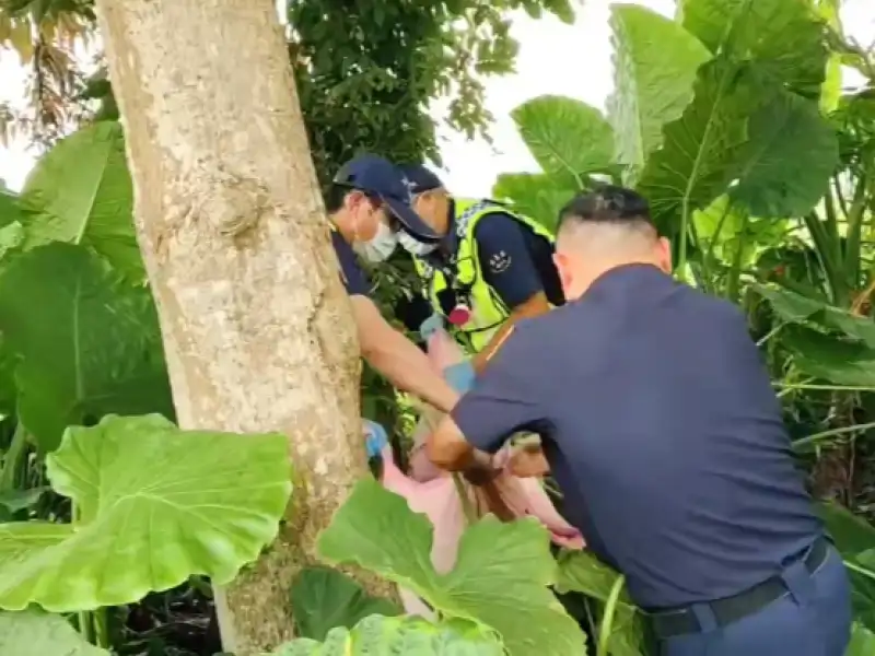 老嫗失蹤兩日 中埔警八掌溪草叢發現急救脫險