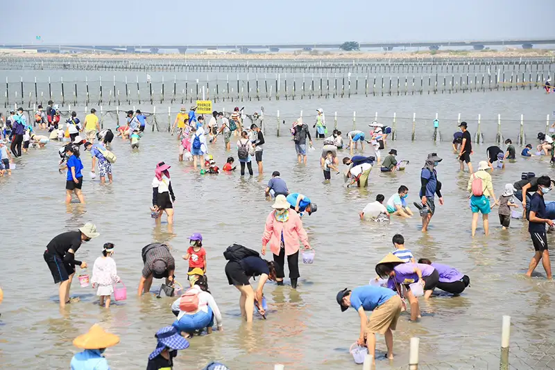 2025臺南七股海鮮節有親子最愛的挖文蛤體驗。(圖/雲嘉南濱海國家風景區管理處 提供)