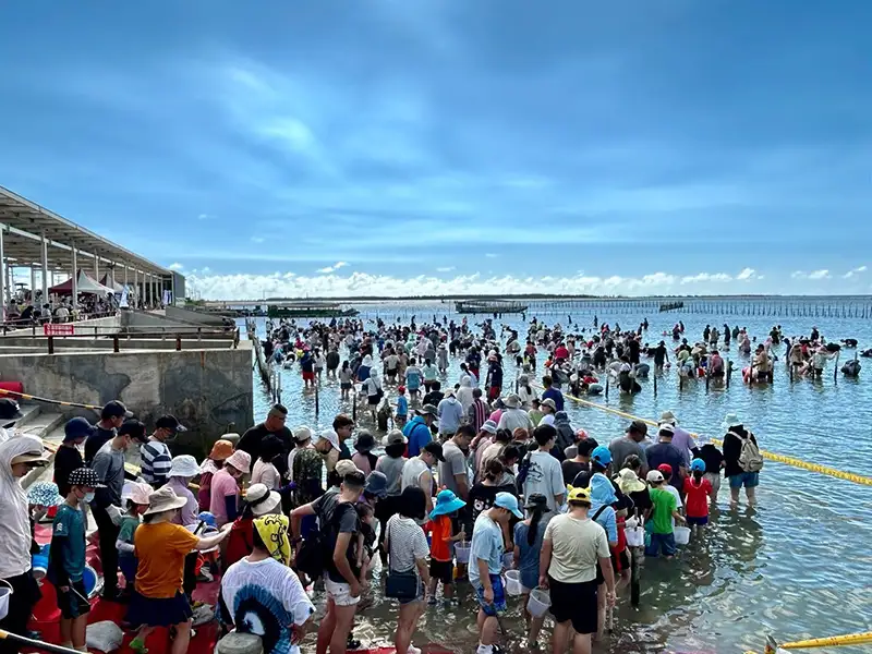七股海鮮節限量體驗搶手！ibon票券優惠、在地店家好康一次看
