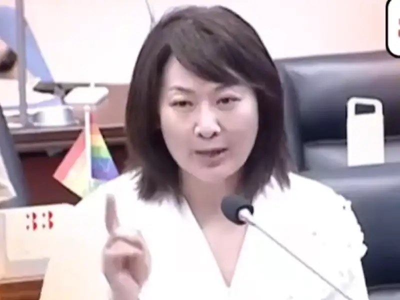 陳麗娜批民進黨能源政策：電不夠還牽拖中共　執政無能可悲