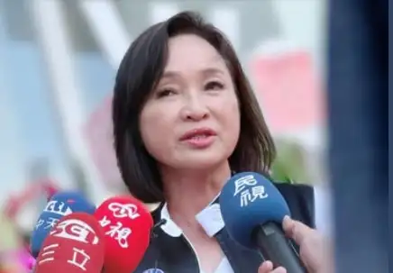 國民黨立委柯志恩針對賴總統「團結」第四講發表批評，呼籲民眾在7月26日踴躍投下「不同意票」，展現對執政傲慢的強烈不信任。（記者吳文生攝）