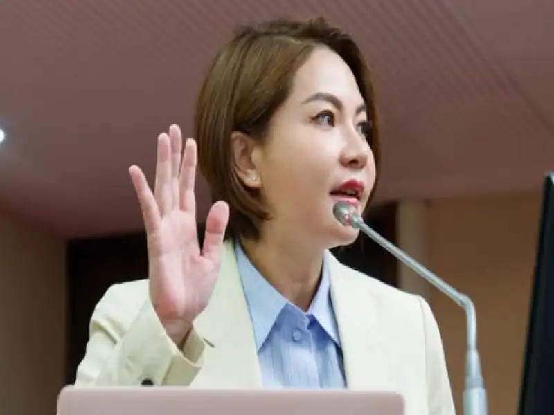 陳菁徽批海上光電遭颱風摧毀　破碎浮台污染屏東海岸兩公里
