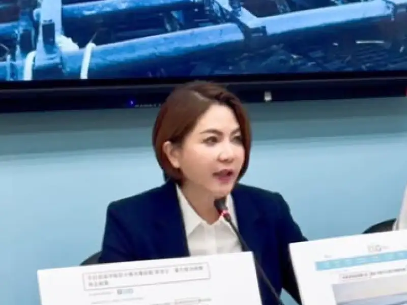 陳菁徽批經濟部「又蠢又壞」　斥綠能政策製造海上垃圾禍害海岸線