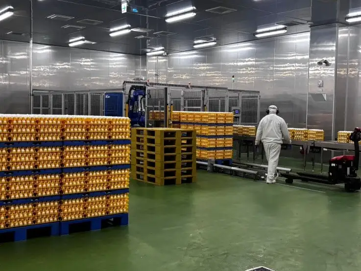 稽查人員實地進入液蛋與洗選蛋工廠,查核作業環境與產品製程是否符合法規規範。(圖/嘉義縣衛生局 提供)