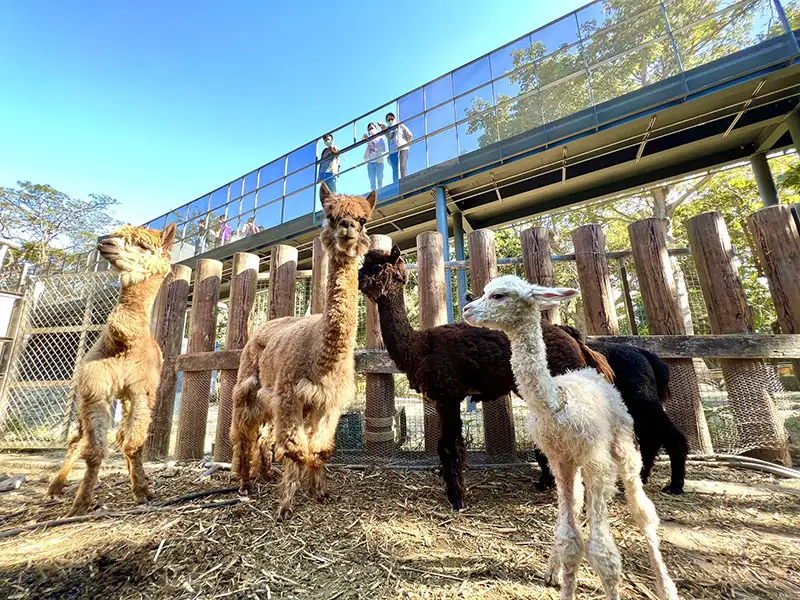 榮獲建築首獎肯定的壽山動物園。(記者吳文欽攝)