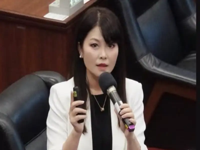 陳美雅批能源政策浮於表面　籲政府全面檢討