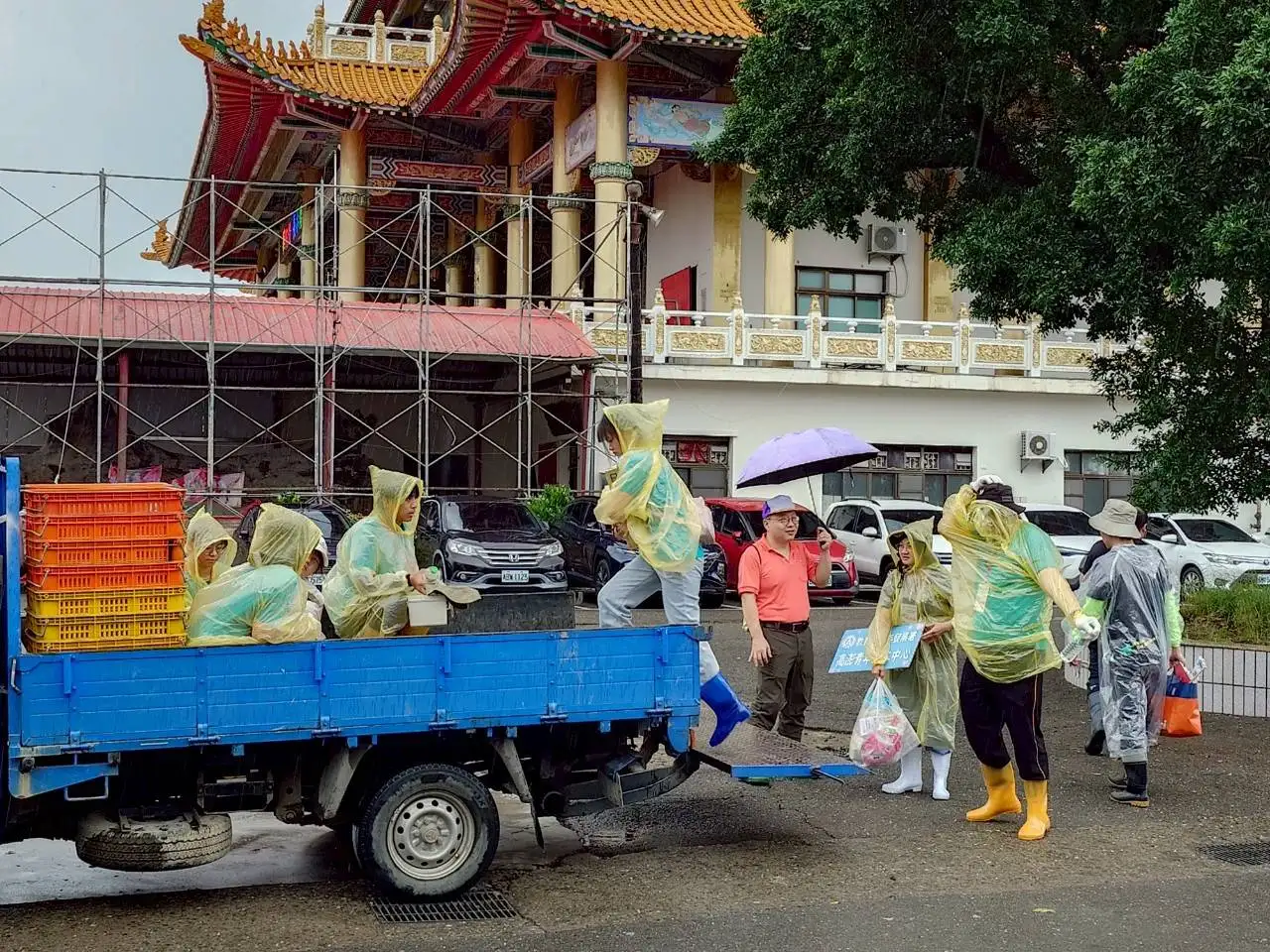 青年志工合力將落果分類裝箱,運送至指定清運區域,協助果農加速恢復果園環境,讓「柚」望重生不再遙遠。(記者吳文生翻攝)
