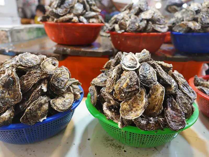 布袋觀光魚市。(圖/嘉義縣文化觀光局 提供)