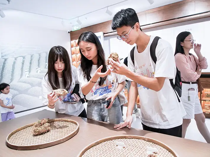 臺灣大學生們於廣州城市規劃展覽中心，駐足粵港澳大灣區發展規劃展板前，透過拍攝與交流，深入了解區域發展戰略與城市定位。(記者劉美祺翻攝)