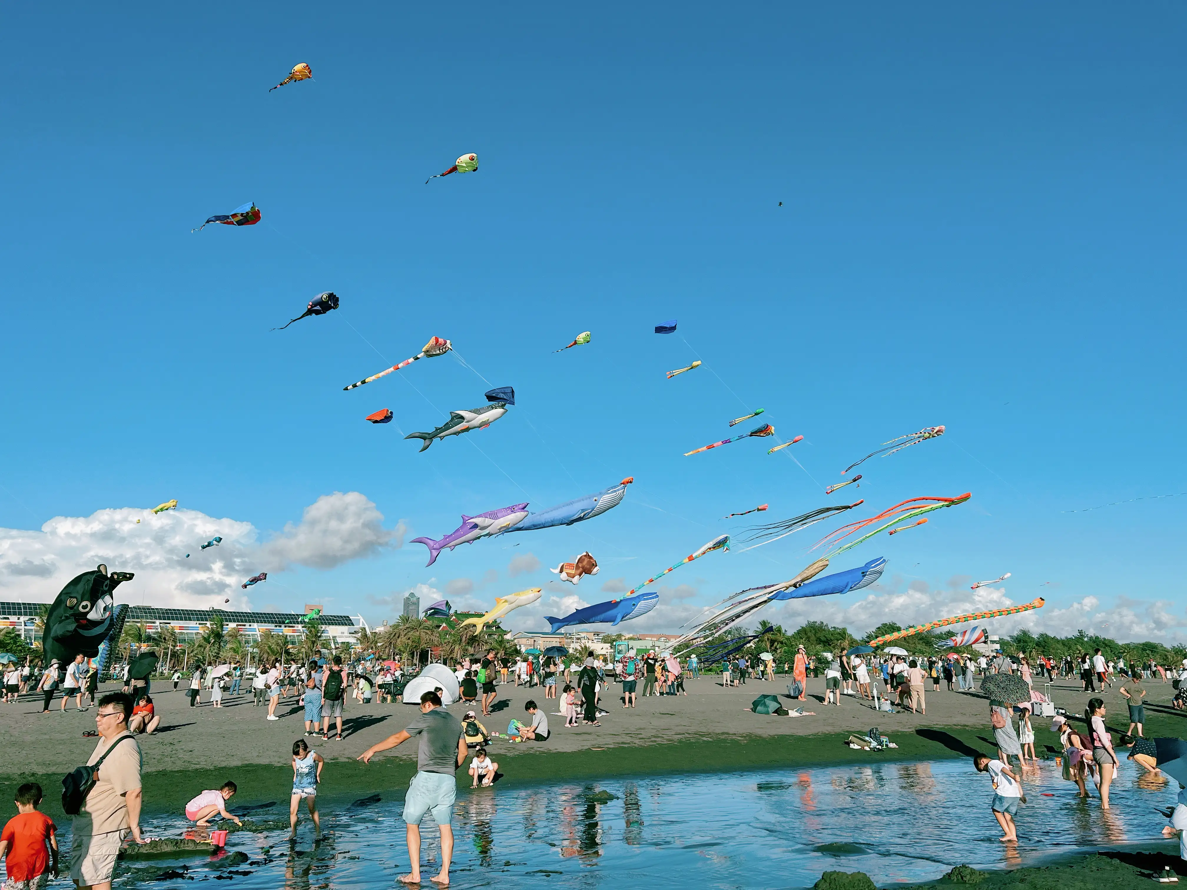 旗津風箏節以「Go Go Party」為主題,鯨魚、章魚、海龜等各式造型風箏飄揚天際,吸引民眾駐足拍照。(記者吳文生攝)