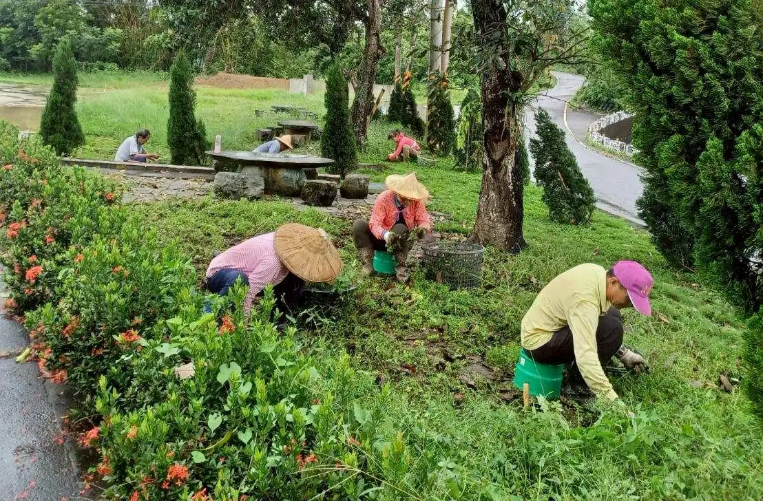 丹娜絲颱風天災臨工措施，人員上工期間以每人每小時最低工資190元核給工作津貼，每月最高2萬8,590元。（圖／勞發署雲嘉南分署　提供）