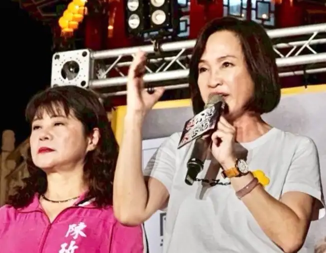 立委柯志恩直言,若民進黨持續忽視包括核電在內的民意聲音,將愈走愈遠,偏離社會期待。(記者吳文生攝)
