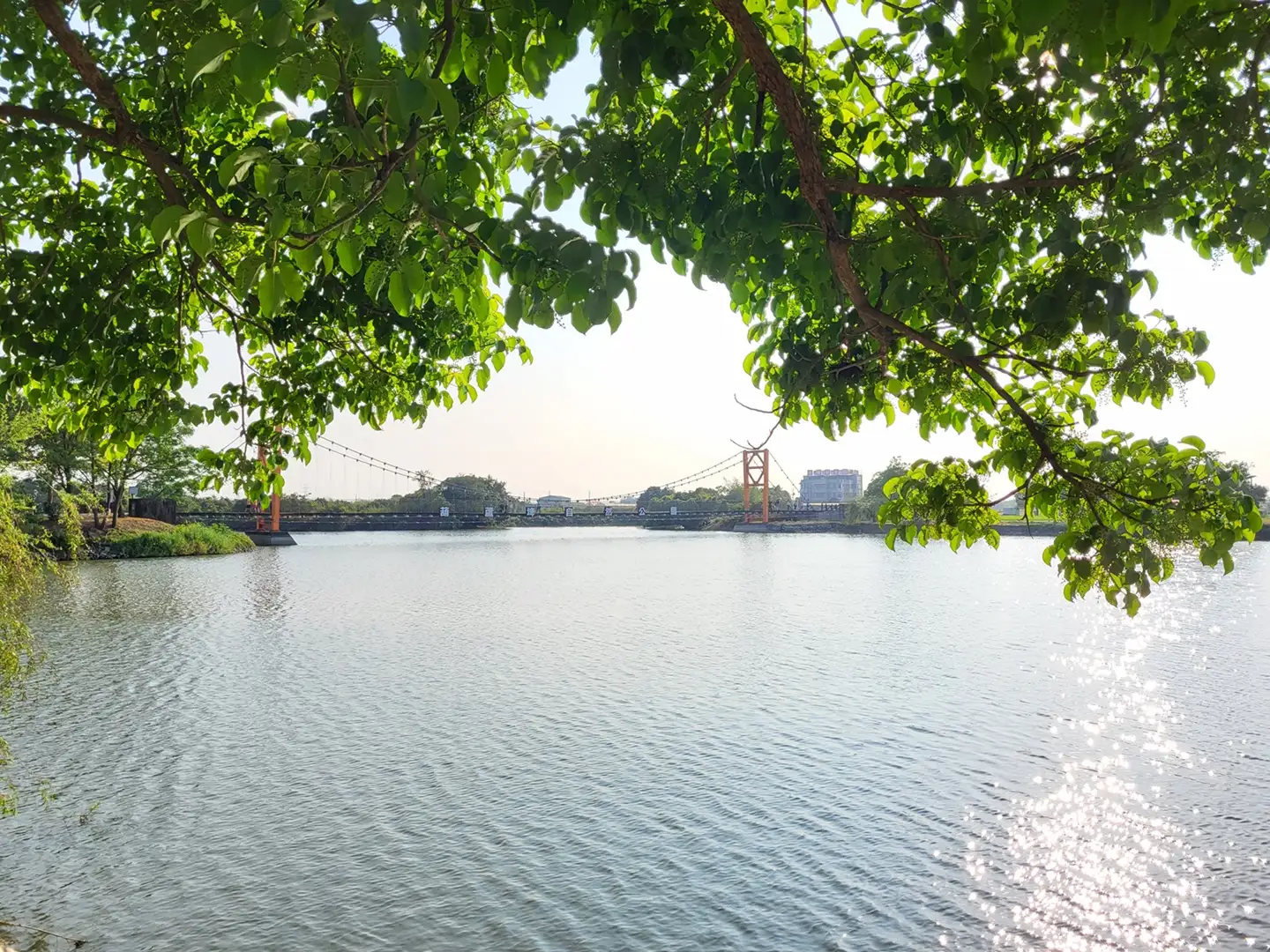 葫蘆埤園區水域景色。(圖/南市觀旅局 提供)