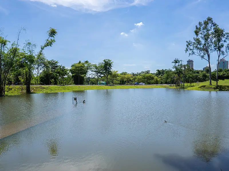 球場退場後，鳥類和昆蟲回來了！寵物禁止入園，夜間不開放。（高雄市政府提供）