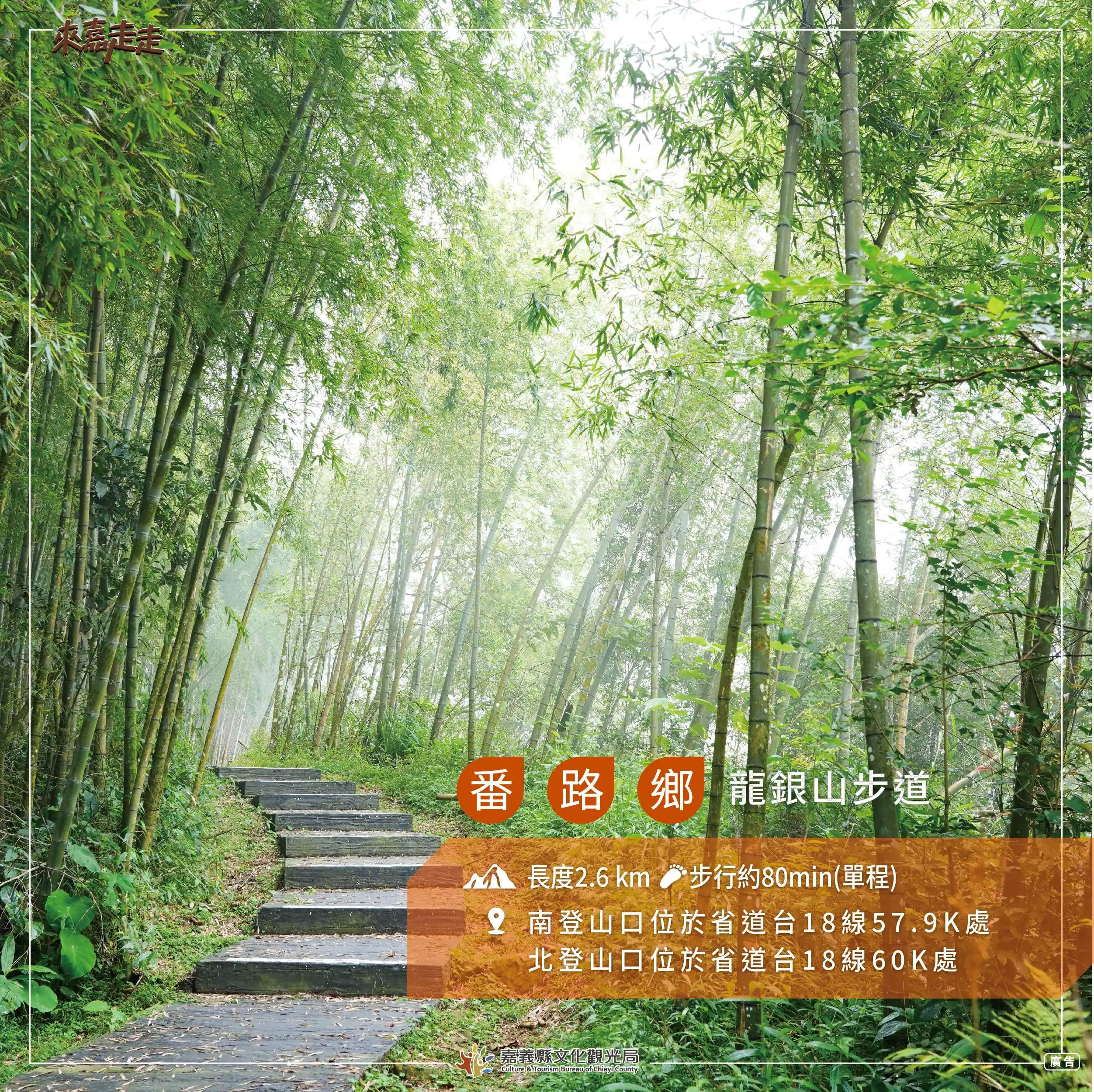 番路鄉-龍銀山步道。（圖／文化觀光局　提供）