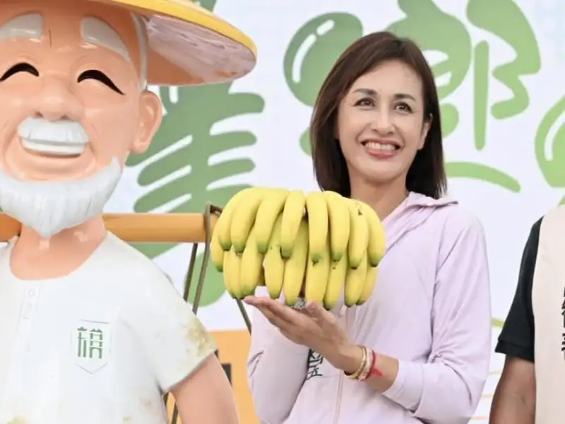邱議瑩：高雄香蕉價格回穩 正是品嚐好時機