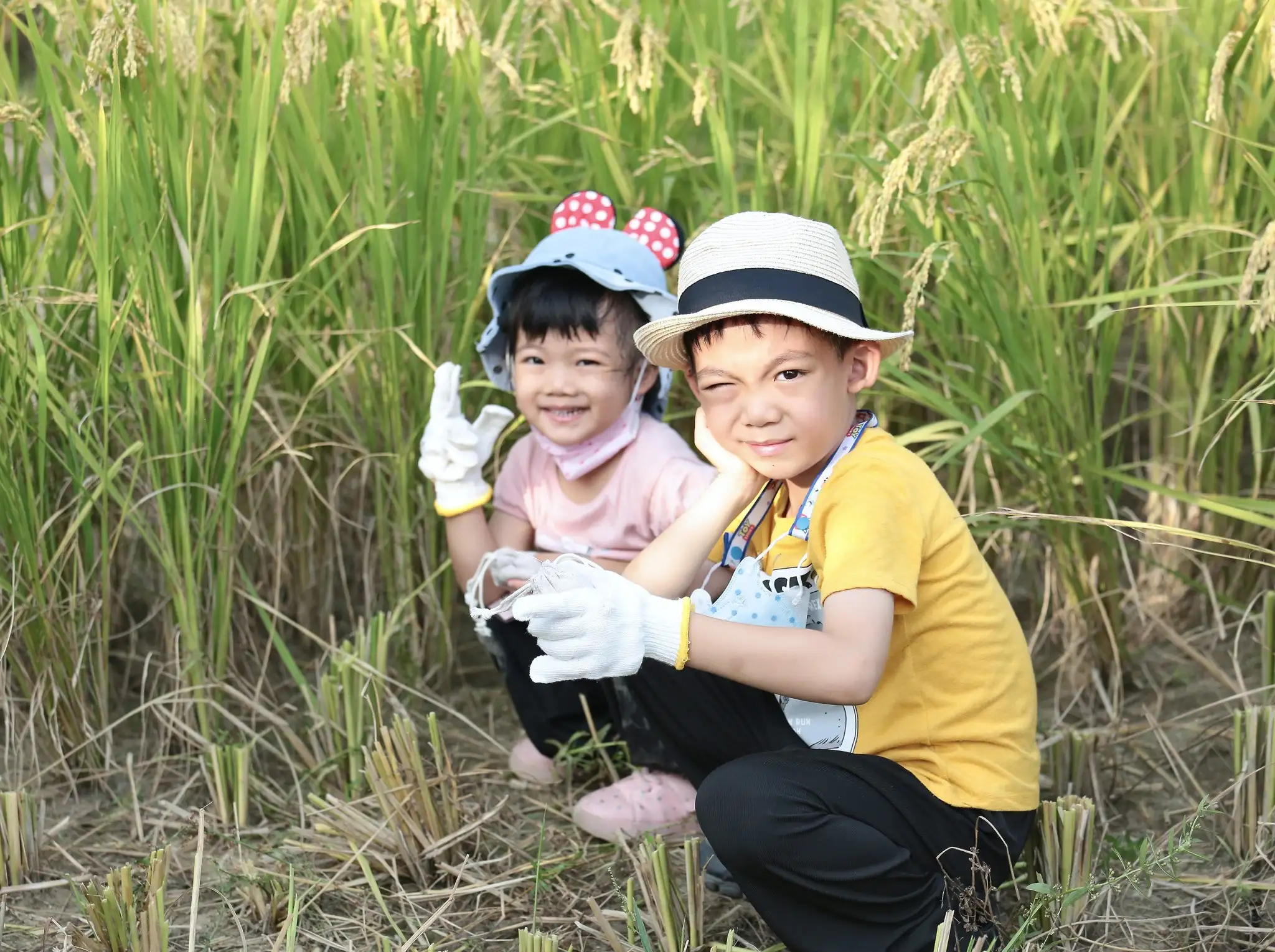 高雄市政府觀光局推出「2025海線潮旅行」梓官濱海農村體驗行。（高市觀光局提供）