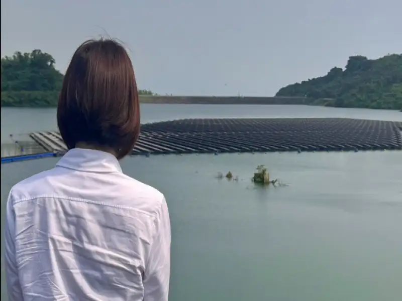 陳菁徽批鳳山水庫光電開發　痛斥破壞遊隼與白尾海雕棲地