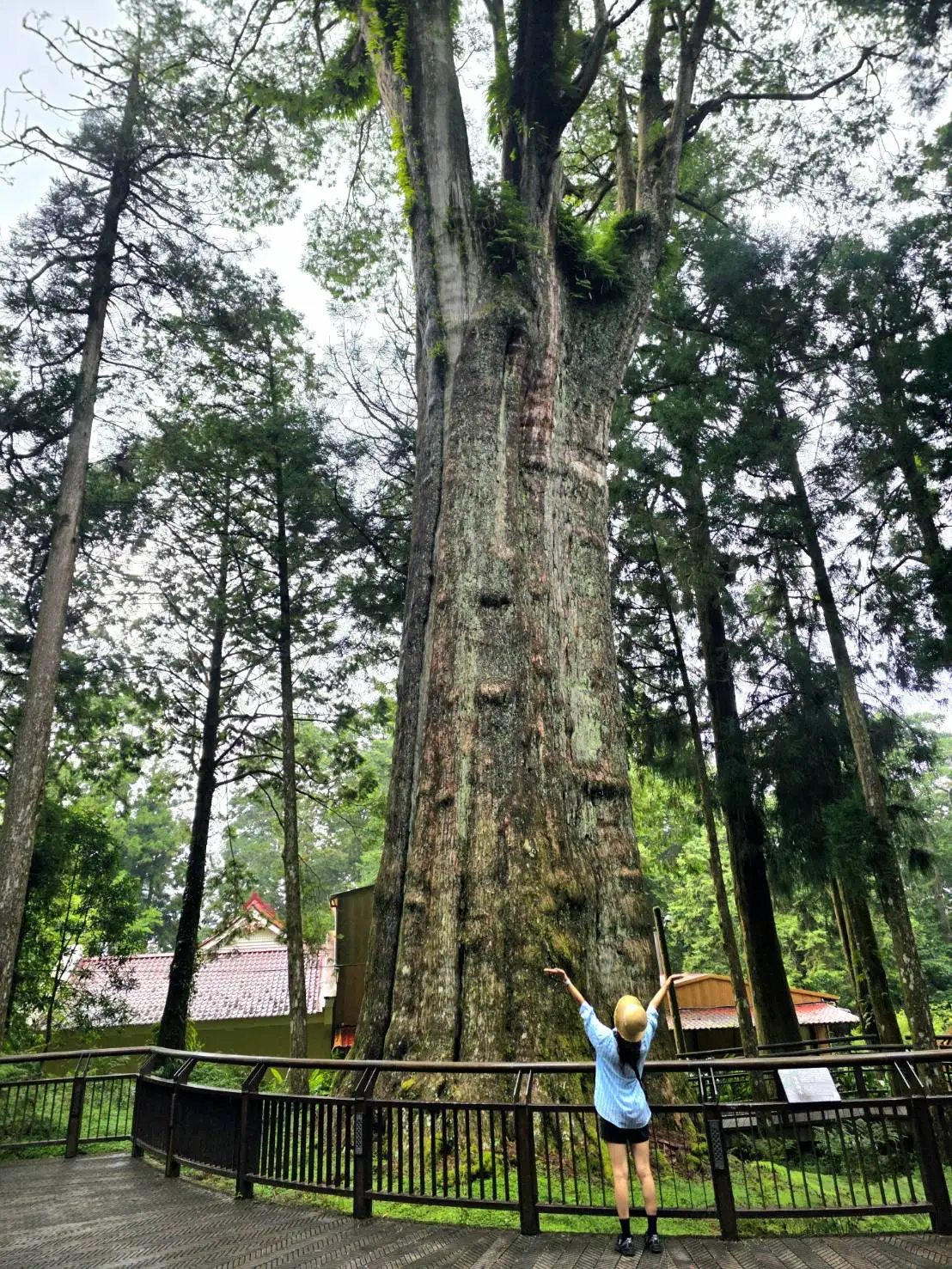 嘉義縣政府參加2025台北國際旅展,以「鄒伙玩」為主題展出。(圖/嘉義縣文化觀光局 提供)