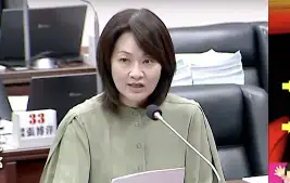 市議員陳麗娜建議教育局導入具即時回饋功能的學力檢測系統，強化學生學習成效。（記者吳文生攝）