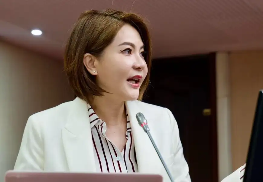 立委陳菁徽指出，台灣已成詐騙集團眼中的「高利市場」，涉案者容易交保，受害者卻可能傾家蕩產。（記者吳文生攝）