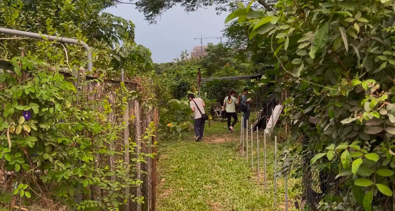 務農倉庫變軍火庫！改造長短槍全被查扣。(圖/偵查第八大隊 提供)